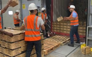 cns-logistica-sas-contacto